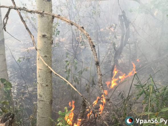 В районе Сары снова произошел природный пожар