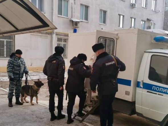 Ущерб в 10 млн рублей из-за ложного числа отловленных собак: На каком этапе уголовное дело экс-подрядчика по отлову собак в Оренбурге? 