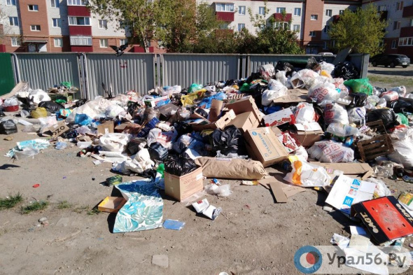 Для жителей Орска вводят новую услугу: тариф за содержание мусорных площадок составит 47 рублей с человека